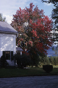 Southwest corner of 336 Bulkley St. USFS Residence and Headquarters.