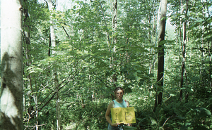 Birch Strips - White Birch Regeneration Study - White Birch Study Area. Strip Treatment Plot 1B. Landscape orientation.