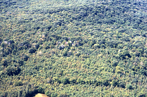 Aerial color image of Hopkins Memorial Forest corner near plot 0517 adjacent to old Goodrich Farm. False Color Infrared/True Color Project.