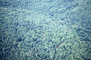 Aerial oblique view into Birch Brook drainage on 14 July 1971.
