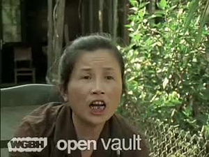 Vietnam: A Television History; Interview with Nguyen Thi Nguyet Anh, 1981