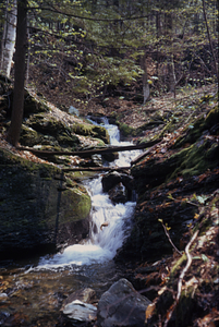 South Branch Birch Brook between gauging station and Diana's Bath.
