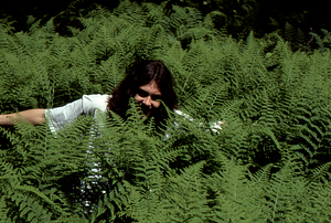 Hayscented Fern Study. 15. Andrew Werbrock (Class of 2000) kneeling in hay-scented fern patch in Permanent plot near Taconic Range ridge.