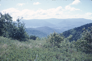 From Taconic Trail to Mount Greylock