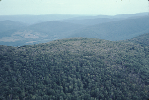 Aerial oblique view to the northeast of Moon Hollow headwall on 2 Sept 1971.