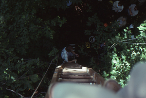 Canopy walkway 11. People on ground at entry ladder at east end tower hold conversation, view from above.