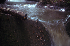 V-notch weir on the South Branch Birch Brook Stream Gauging Station. Morning after the 2.5" overnight (29-30 June 1973) rainfall event.