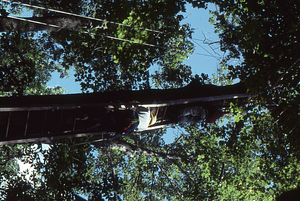 Canopy walkway 12. People scaling entry ladder at east end tower, view from below.