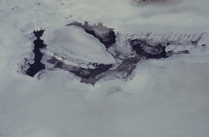 Ice thickness on frozen over Birch Brook.