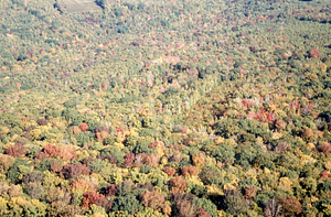 Aerial oblique view across Birch Strips on 14 October 1971.
