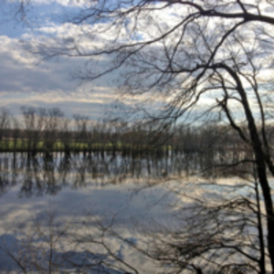 Mill River at Arcadia 2