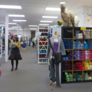 Shopping at Webs