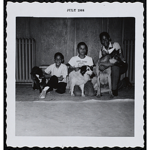 Three boys posing with their dogs at a Boys' Club Pet Show