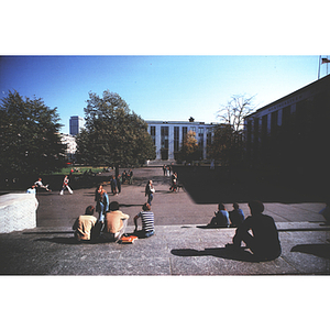 Photograph taken from Richards Hall of students in the Quad