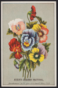 Trade card for Ayer's Cherry Pectoral, manufactured by J.C. Ayer & Co., Lowell, Mass., undated