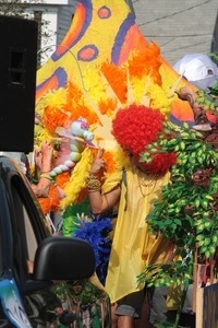 Parade marcher in bright yellow and orange costume : Provincetown Carnival parade