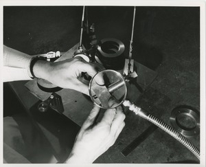 Hands working under a magnifying glass