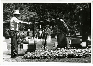 Gardener Arlindo Espinola at Lowell Cemetery