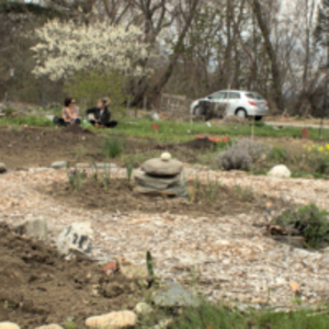 Two women gardening