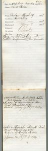 Tewksbury Almshouse Intake Record: Silva, David