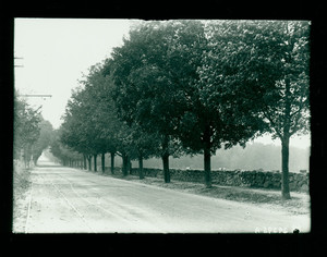 View of Maple Avenue, Shrewsbury, Mass., undated
