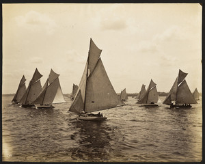 City Regatta Start of Race