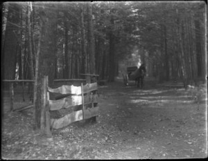 Horse-drawn carriage and gate in the woods