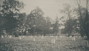 View of cemetery, Arlington, Virginia