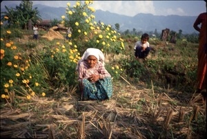 Grandmother of guide K.P. Kafle, with her grandchildren, out in field