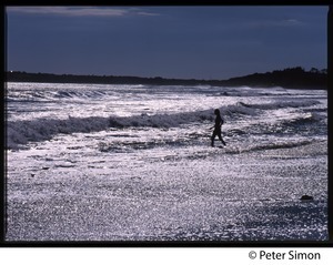 Woman striding in the surf in silhouette, Marthas Vineyard
