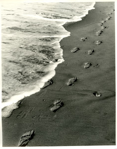 Footprints