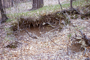 Southern side of Hopkins' sand borrow pit.