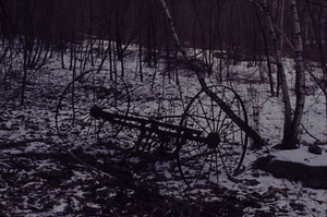 Hay dump rake at southeast edge of Primmer Lot strawberry field, formerly hay meadow.