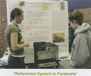 Referential Speech in Parakeets: Poster Presentation.