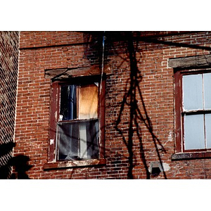 Windows at 326 Shawmut Avenue.