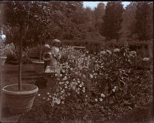 Children playing in the garden of the Saltonstall House, Milton, Mass.