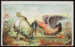 Fowl blow, location unknown, 1880s