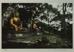 Nepal temple monkeys