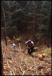 Dan Keller with child, and dog, dragging wood through woods near Wendell Farm