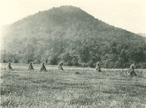 Forestry and Wildlife Management - Mt. Toby Forest