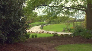 Georgia Traveler; Garden Tour of Georgia Pledge Version