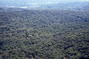 Aerial oblique view eastnortheast across Plains of Abraham from Birch Hill on 2 Sept 1971.