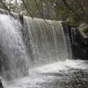 Roberts Meadow Dam falls