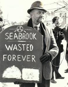 Seabrook nuclear plant