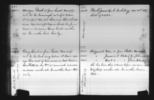 Tewksbury Almshouse Intake Record: Fitzgerald, Edward