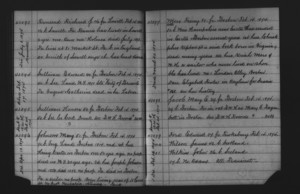 Tewksbury Almshouse Intake Record: Sullivan, Honora