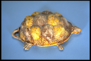 Whieldon-type Tortoise