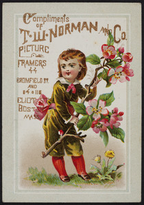 Trade cards for T.W. Norman, picture framers, 44 Bromfield Street and 114 & 116 Eliot Street, Boston, Mass., undated