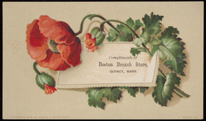Trade card for Boston Branch Store, pharmacy, Quincy, Mass., 1878