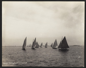 Hull Mass Regatta -Start of Classes L & F